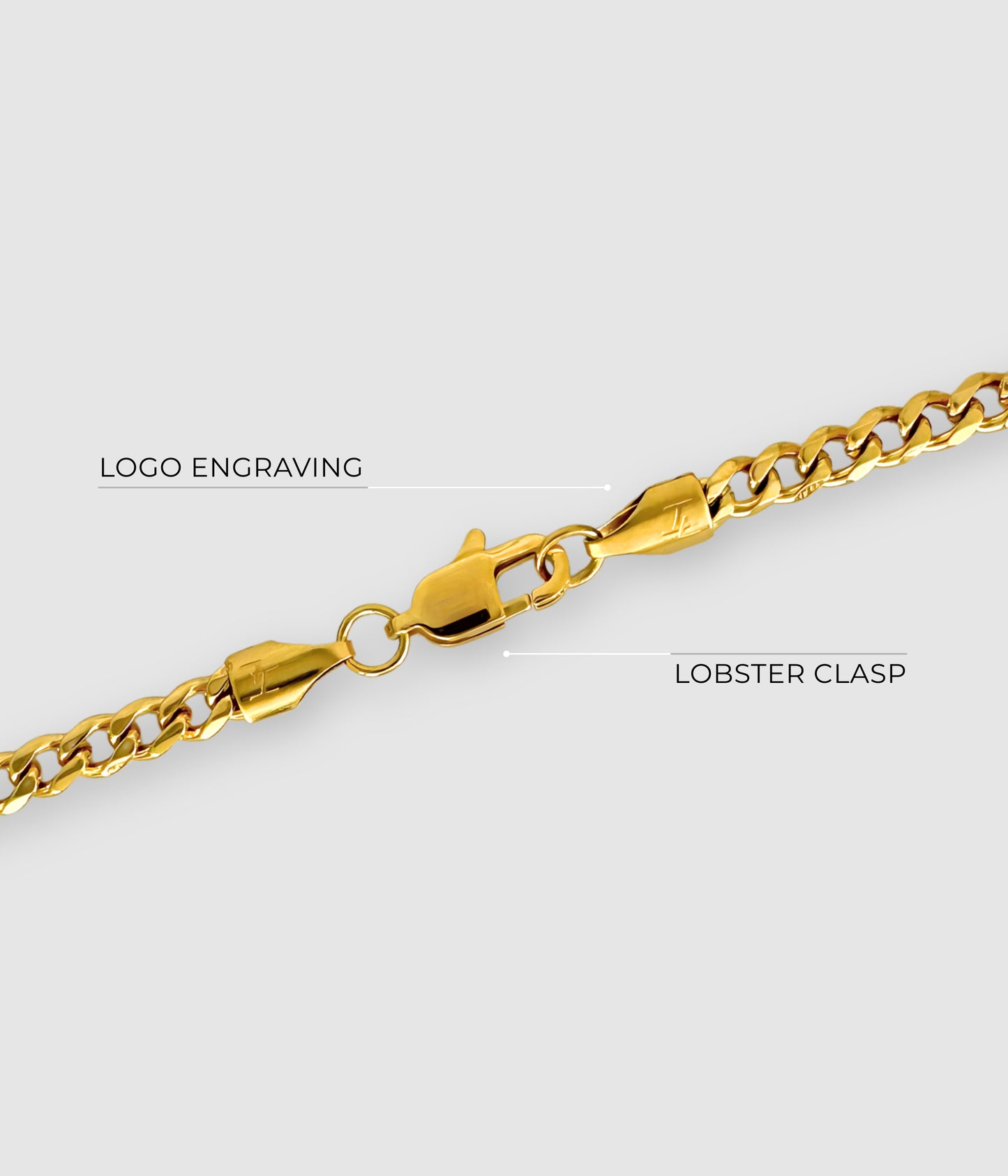 The Gym Chain