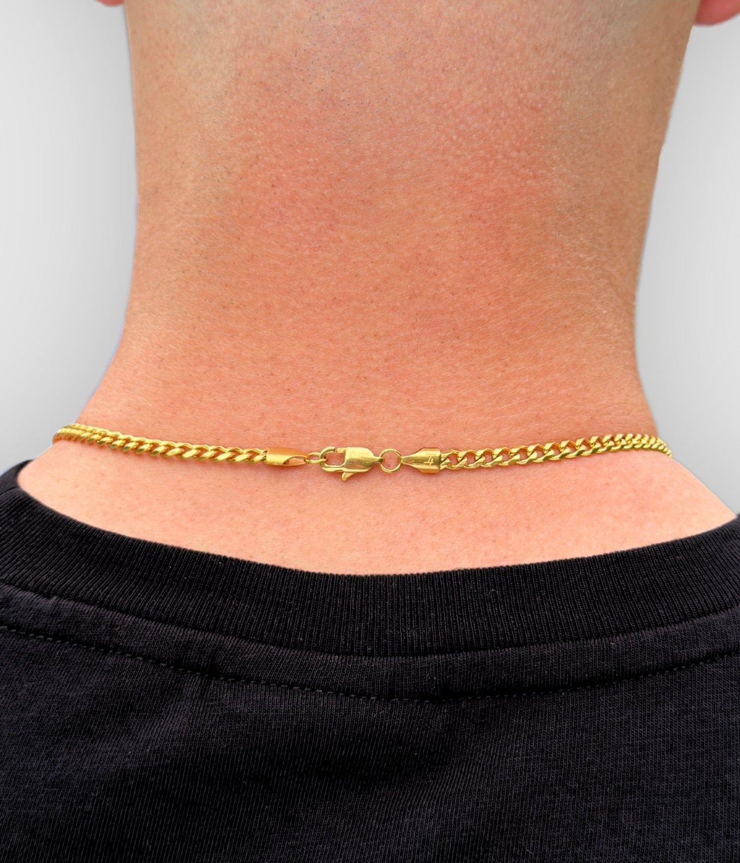 The Gym Chain