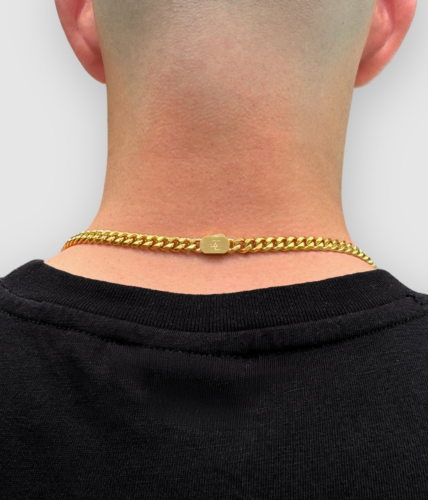 The Gym Chain