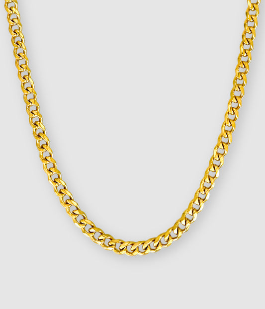 The Gym Chain